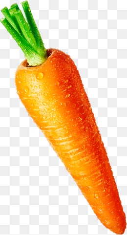 Carrot, Carrot, Vegetables, Nutrition Png Image - Carrot, Transparent background PNG HD thumbnail
