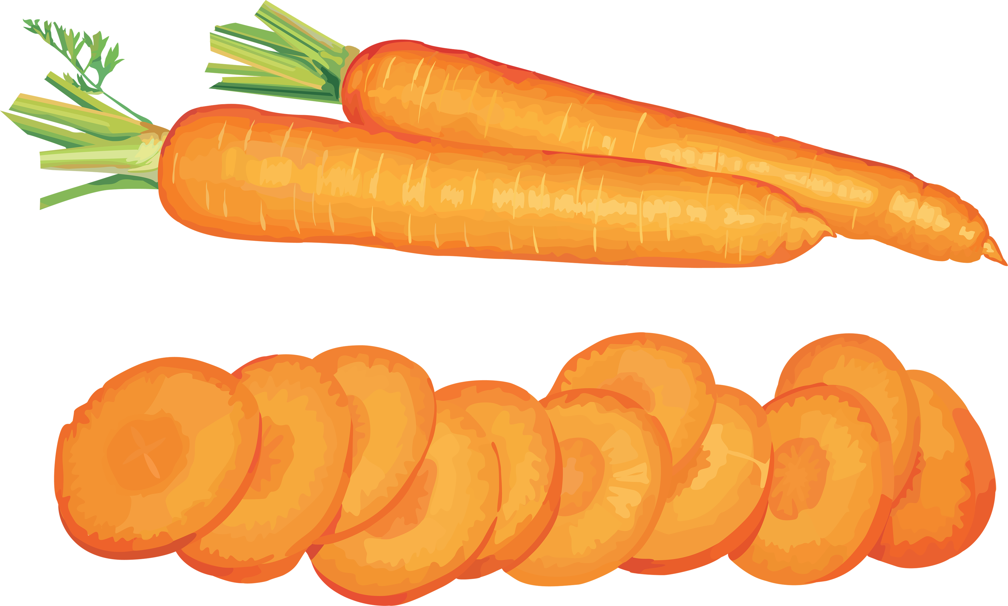 Carrot Icon Png 51219 - Carrot, Transparent background PNG HD thumbnail