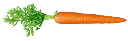 Carrot Transparent Png - Carrot, Transparent background PNG HD thumbnail