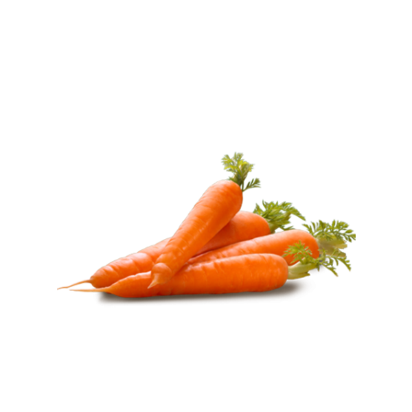 Havuç Png Resmi U2013 Carrot Png - Carrot, Transparent background PNG HD thumbnail