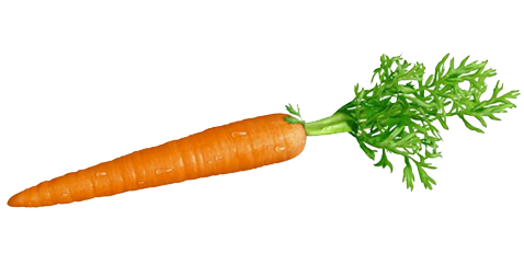Pin Carrot Clipart Transparent Background #12 - Carrot, Transparent background PNG HD thumbnail