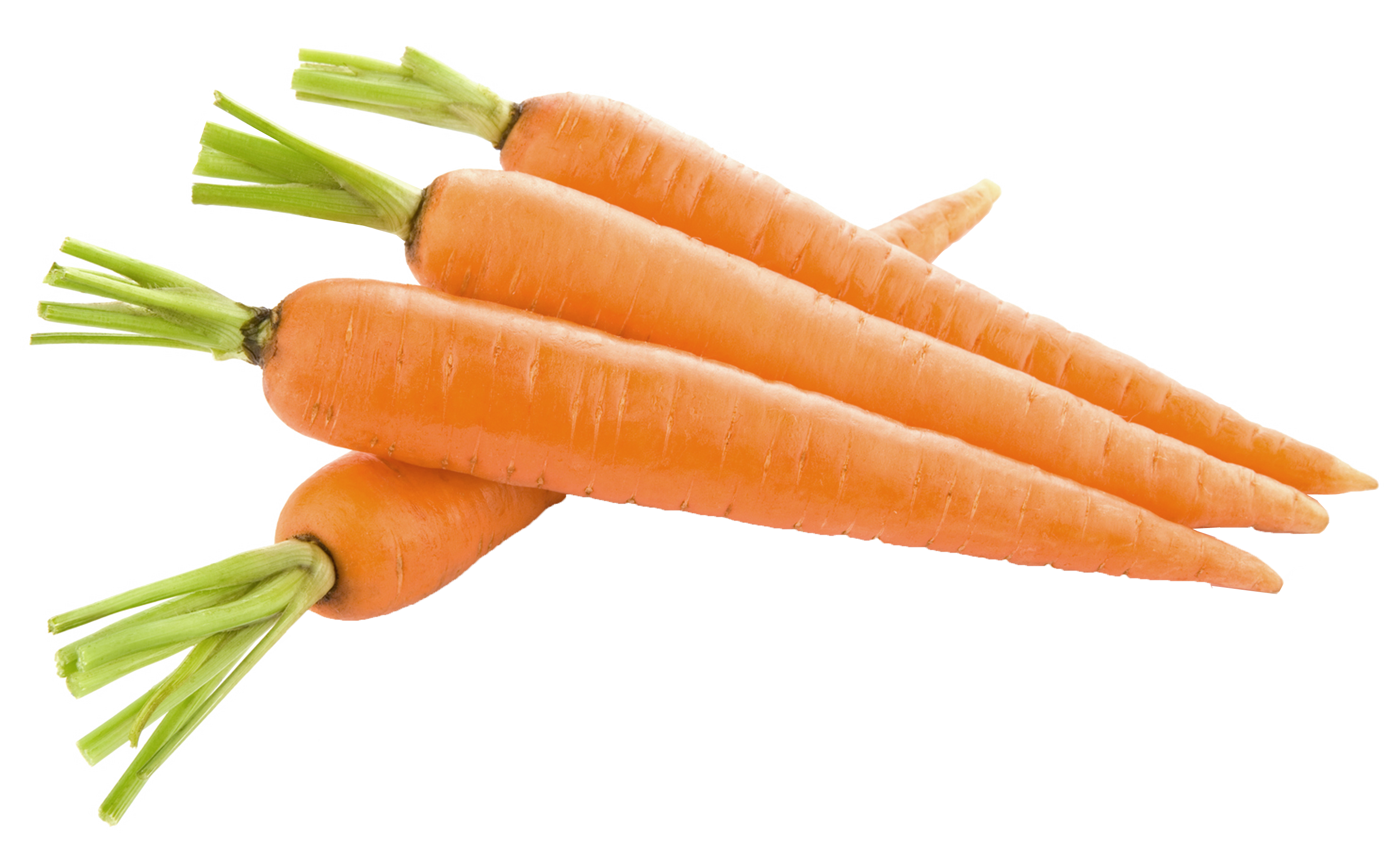 Carrot PNG image, Carrot PNG - Free PNG