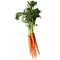 Carrot Cutting Pieces PNG