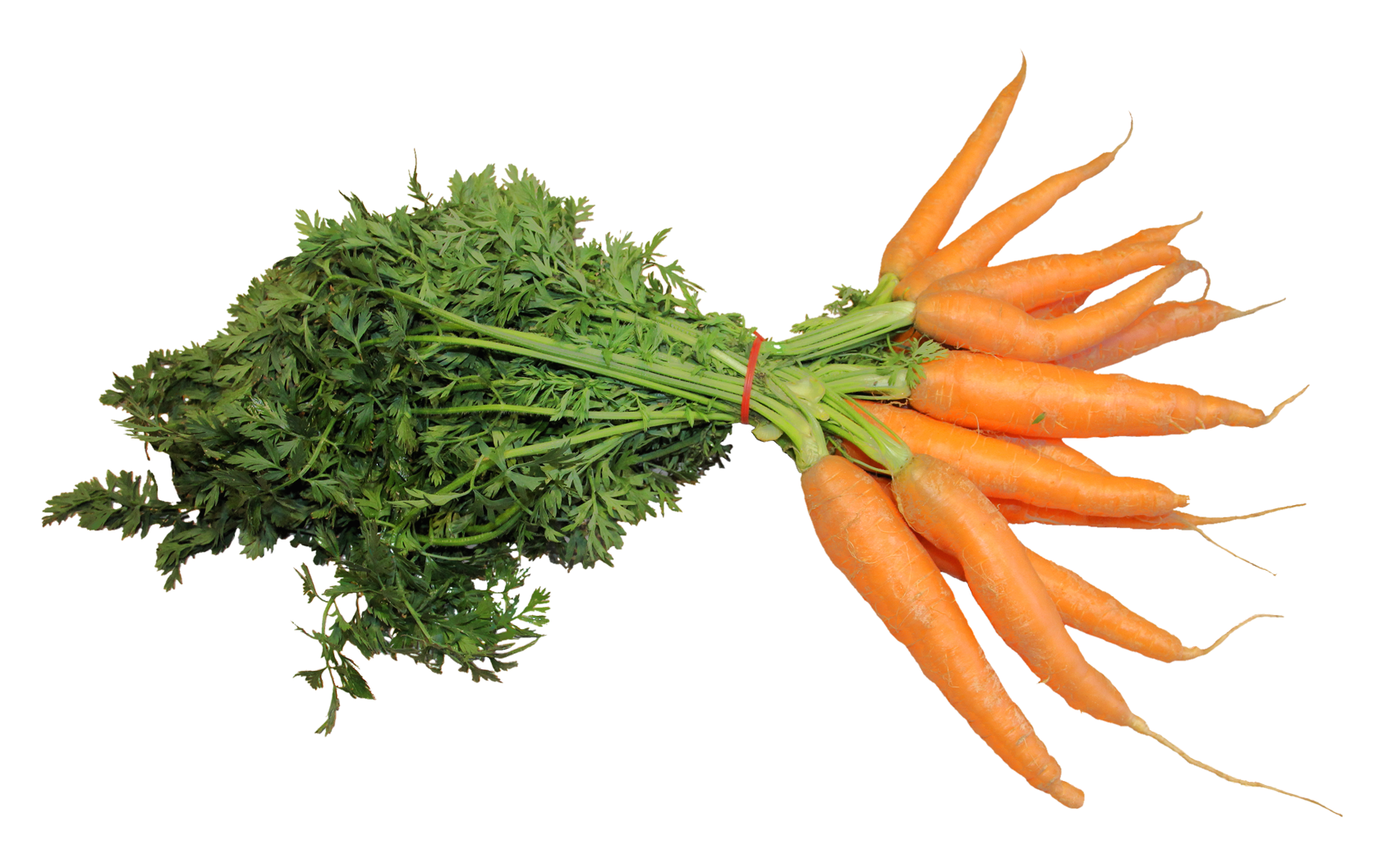Fresh Carrot Png Image - Carrot, Transparent background PNG HD thumbnail
