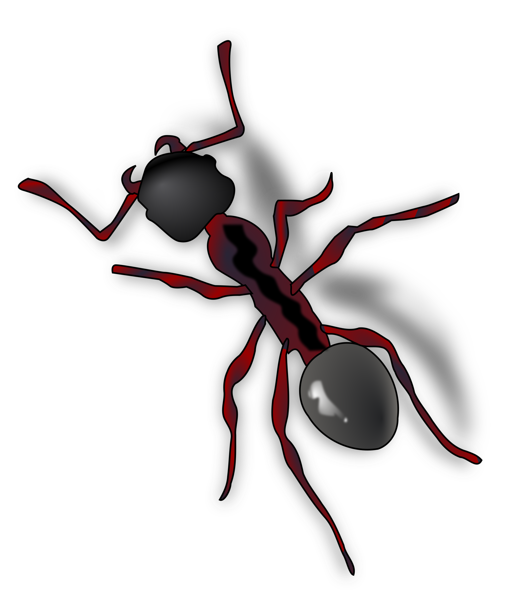 Ant Png - Cartoon Ant, Transparent background PNG HD thumbnail