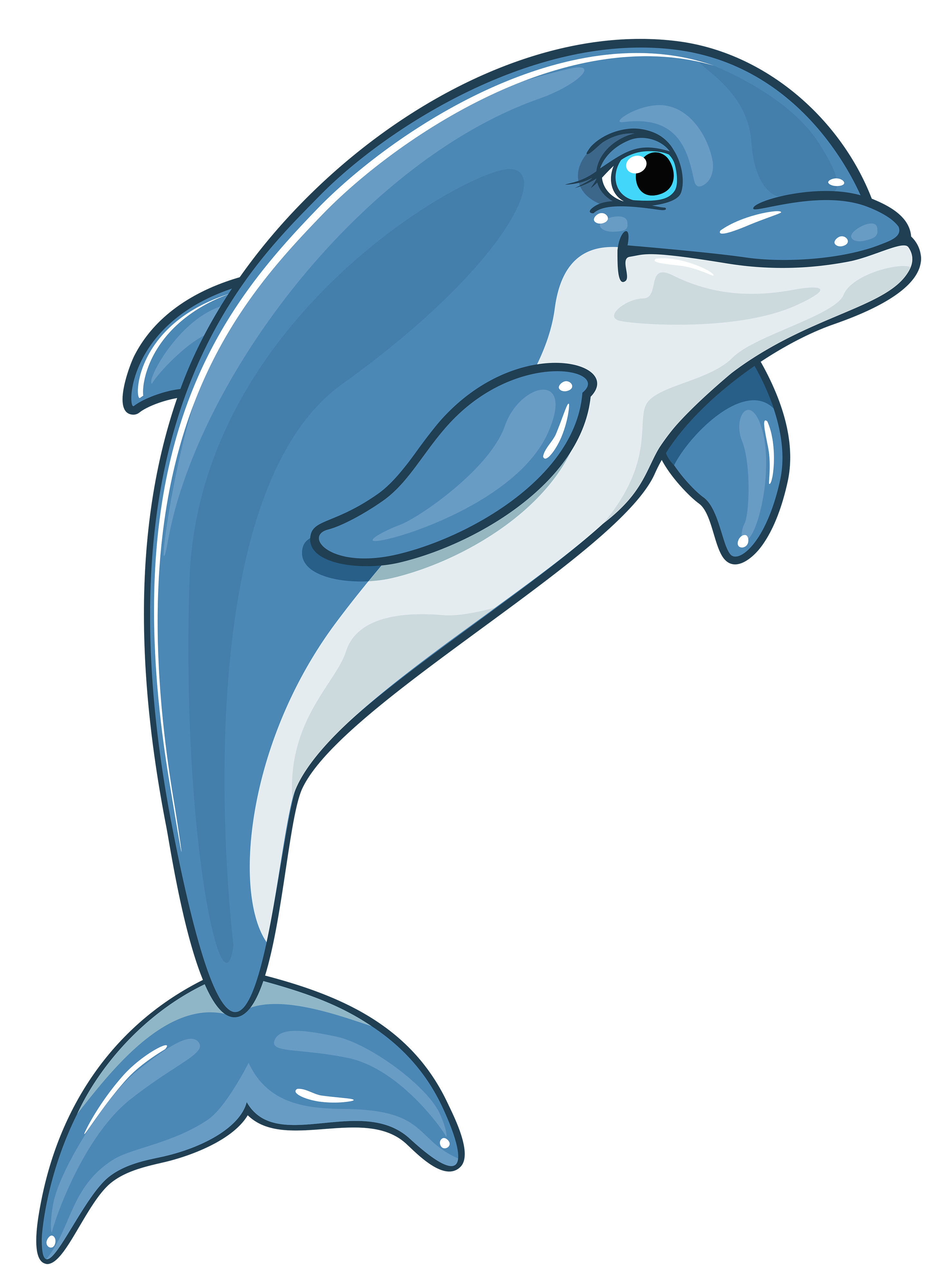Cartoon Dolphin Png Hd - Dolphin, Transparent background PNG HD thumbnail