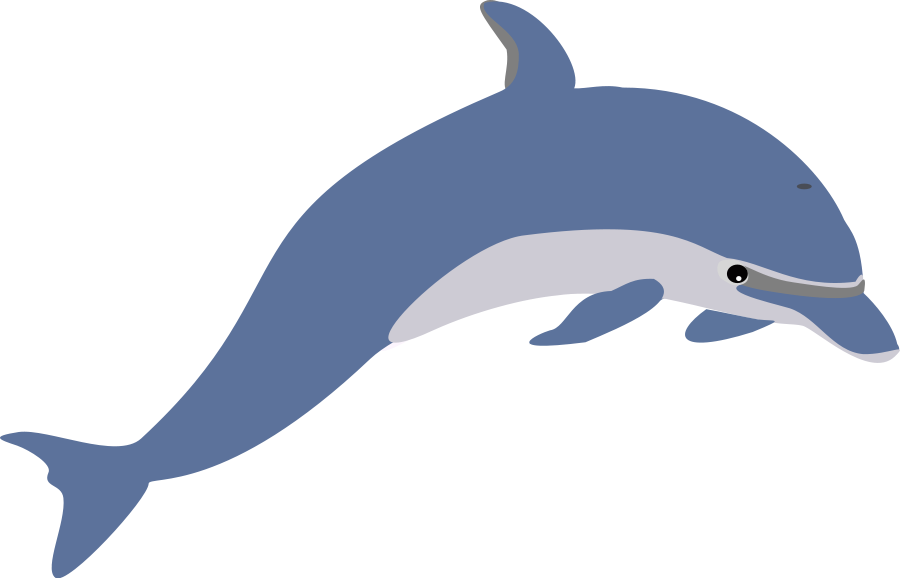 Jumping Dolphin Clip Art - Cartoon Dolphin, Transparent background PNG HD thumbnail
