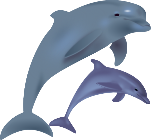 Pictures Of Cartoon Dolphins   Clipart Library - Cartoon Dolphin, Transparent background PNG HD thumbnail