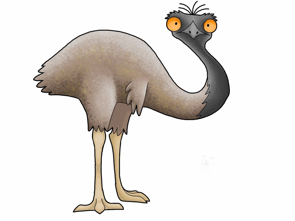 701B769.png - Cartoon Emu, Transparent background PNG HD thumbnail