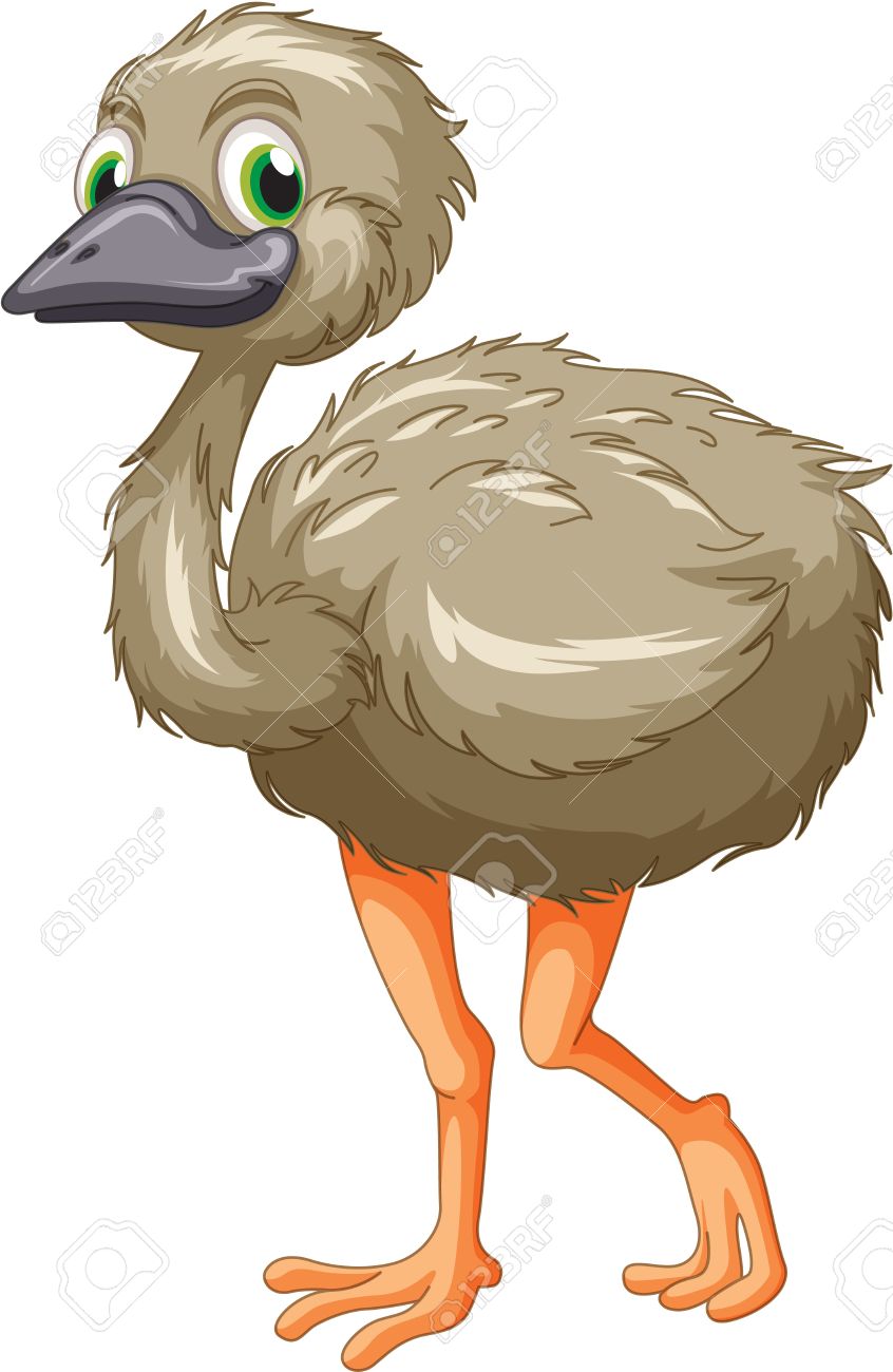 Emu Clipart #8 - Cartoon Emu, Transparent background PNG HD thumbnail
