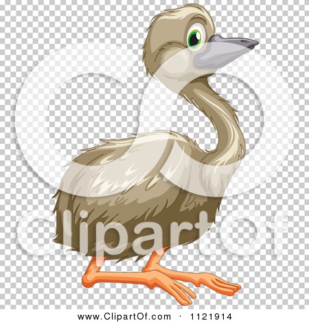 Pin Emu Clipart Cartoon #6 - Cartoon Emu, Transparent background PNG HD thumbnail