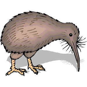 Kiwi Bird 5 - Cartoon Kiwi Bird, Transparent background PNG HD thumbnail