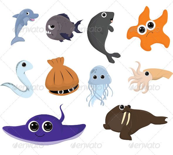 Funny Animals Animal, Cartoon, Clam, Cute, Dolphin, Eel, Funny Water - Cartoon Sea Animals, Transparent background PNG HD thumbnail