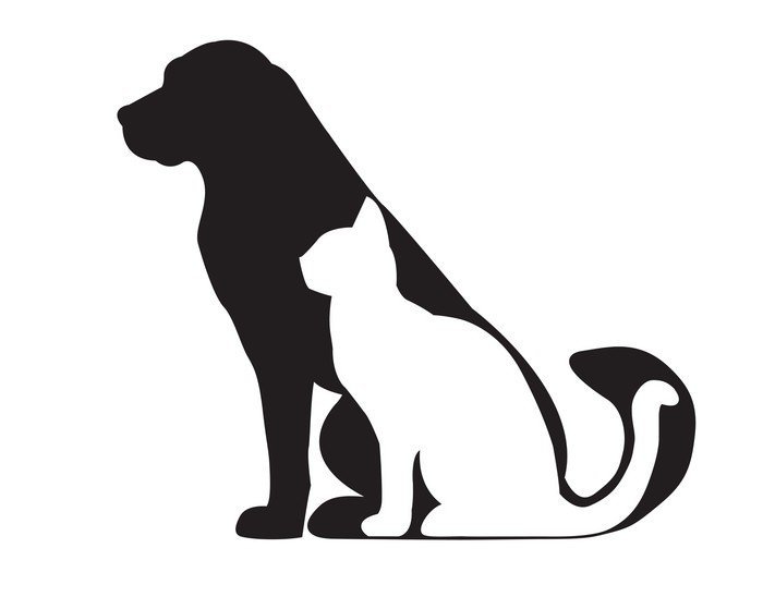 Black Silhouette Of Dog And White Cat Isolated On White Wall Decal ✓ Easy Installation ✓ - Cat And Dog Black And White, Transparent background PNG HD thumbnail