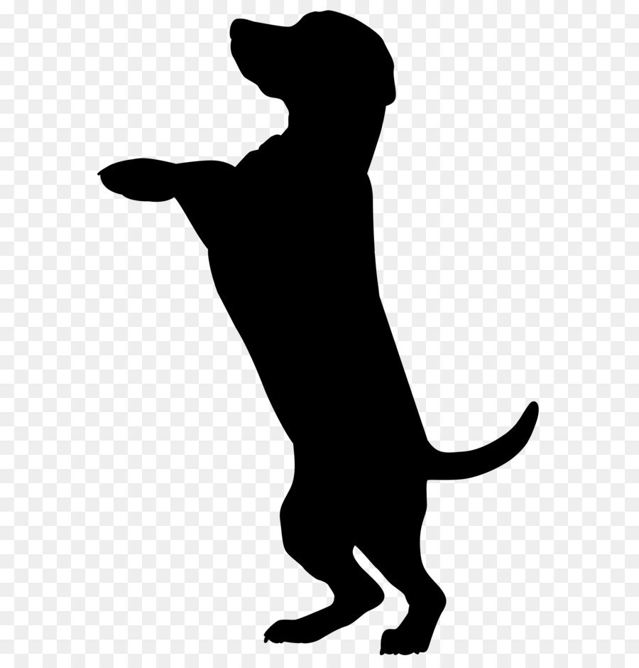 Boxer Dobermann Cat Pet Sitting Silhouette   Dog Silhouette Png Clip Art Image - Cat And Dog Black And White, Transparent background PNG HD thumbnail