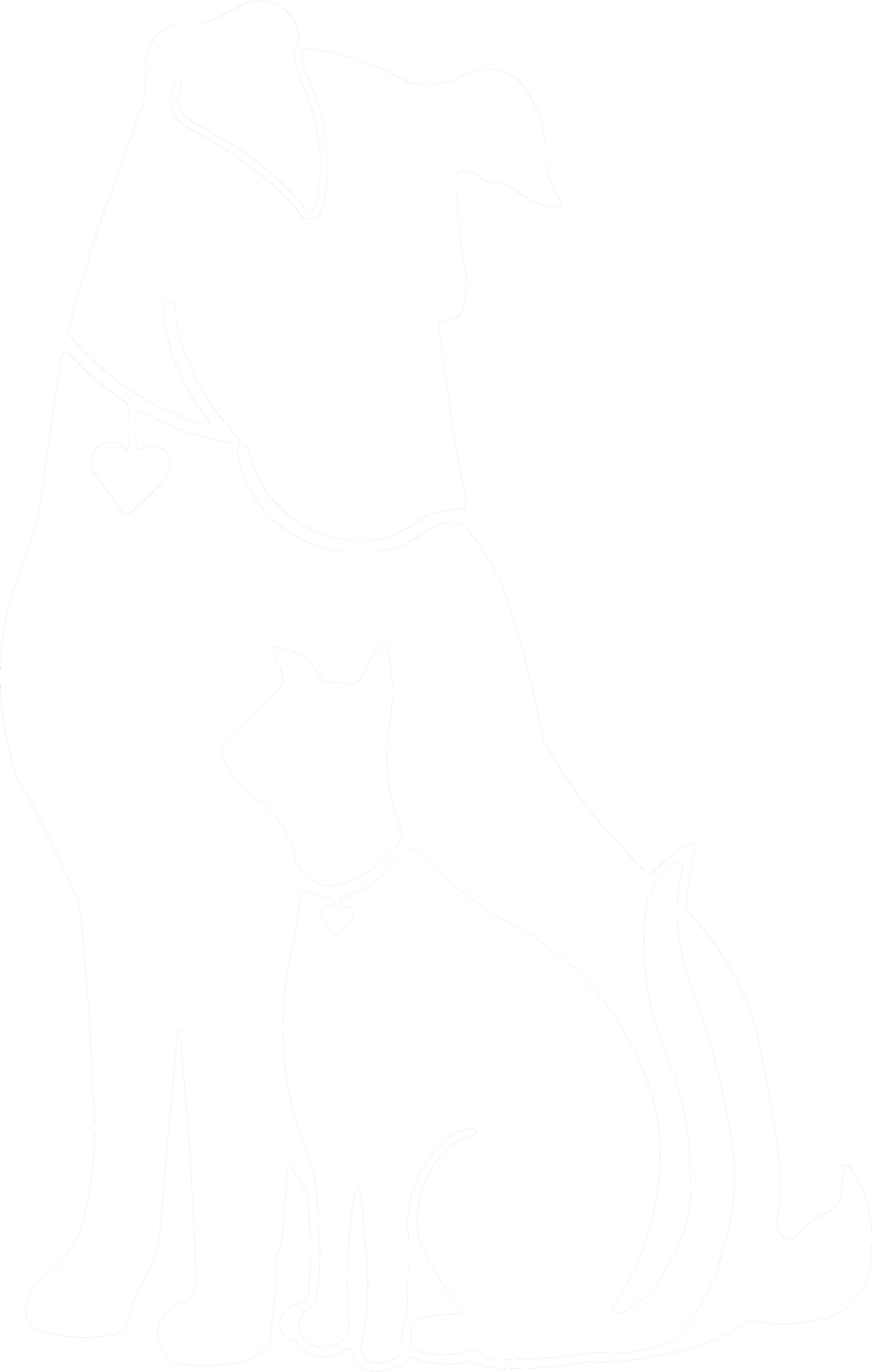 Centralia Humane Society - Cat And Dog Black And White, Transparent background PNG HD thumbnail