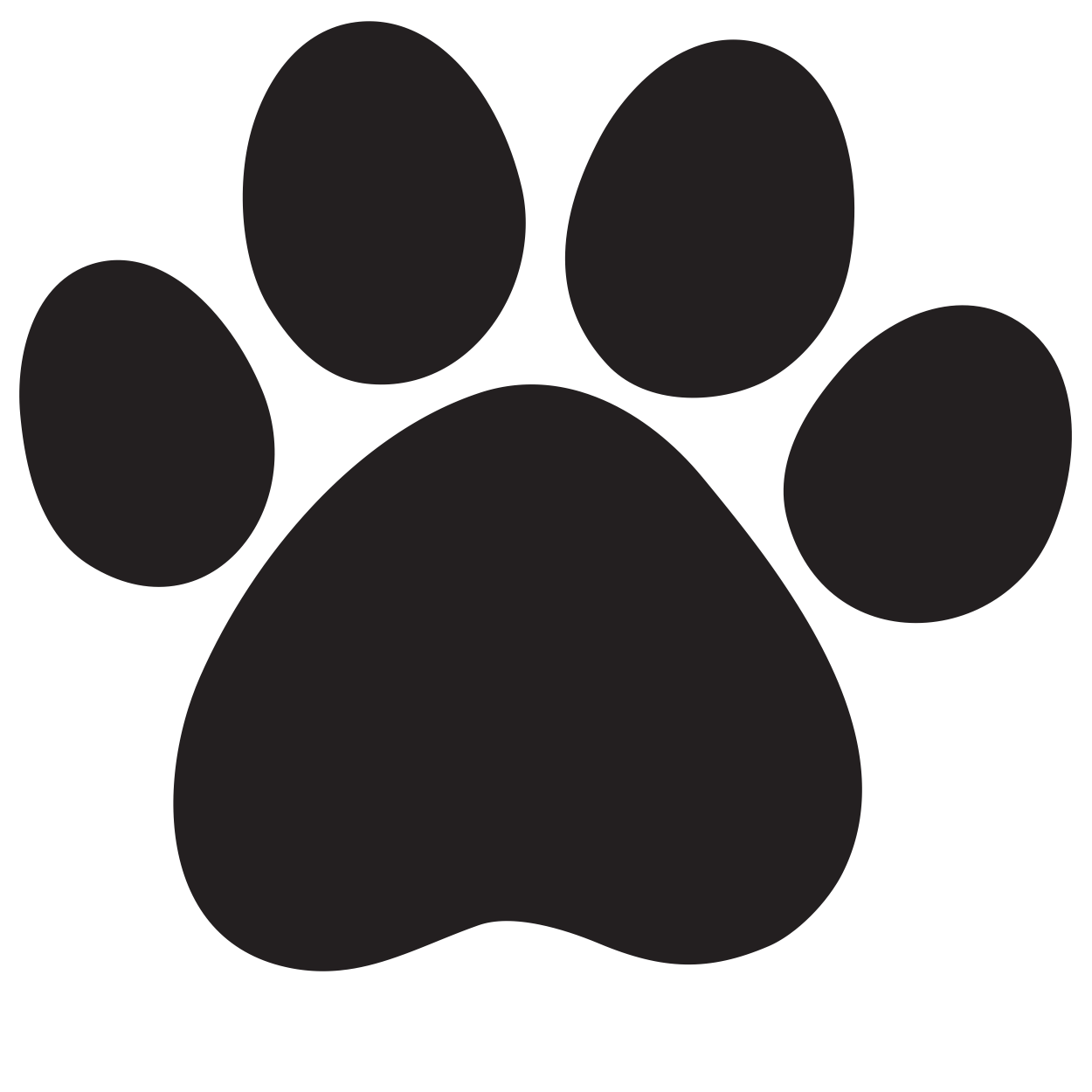 cat, foot, paw, trace icon