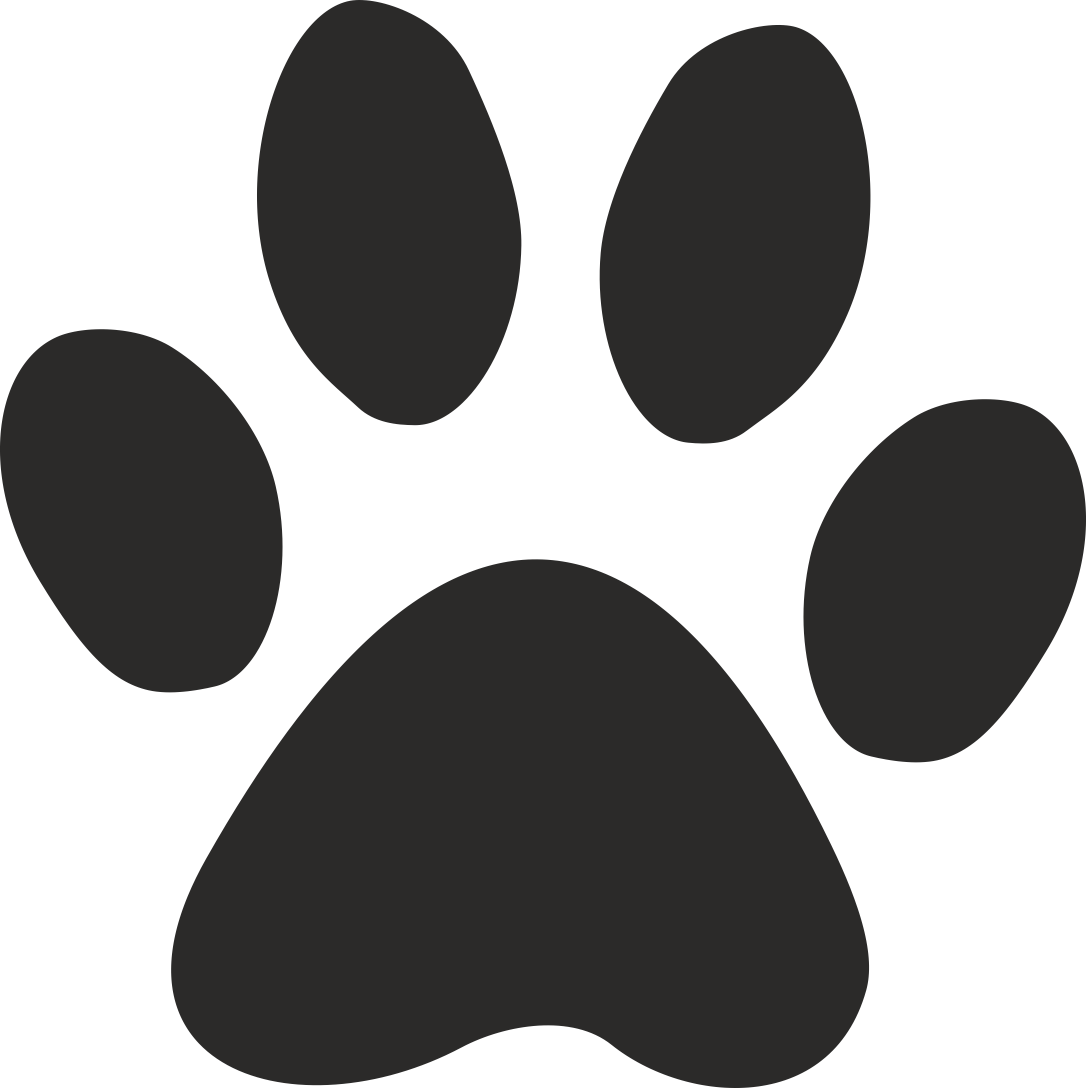 cat, foot, paw, trace icon