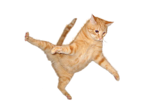Flying Cat Png Image #40367 - Cat, Transparent background PNG HD thumbnail