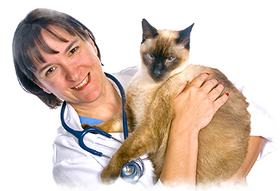 Cat Vet Png - Our Training Kit Was Designed With Help Of Vets, Breeders, Animal Behaviourists And Cat Owners., Transparent background PNG HD thumbnail