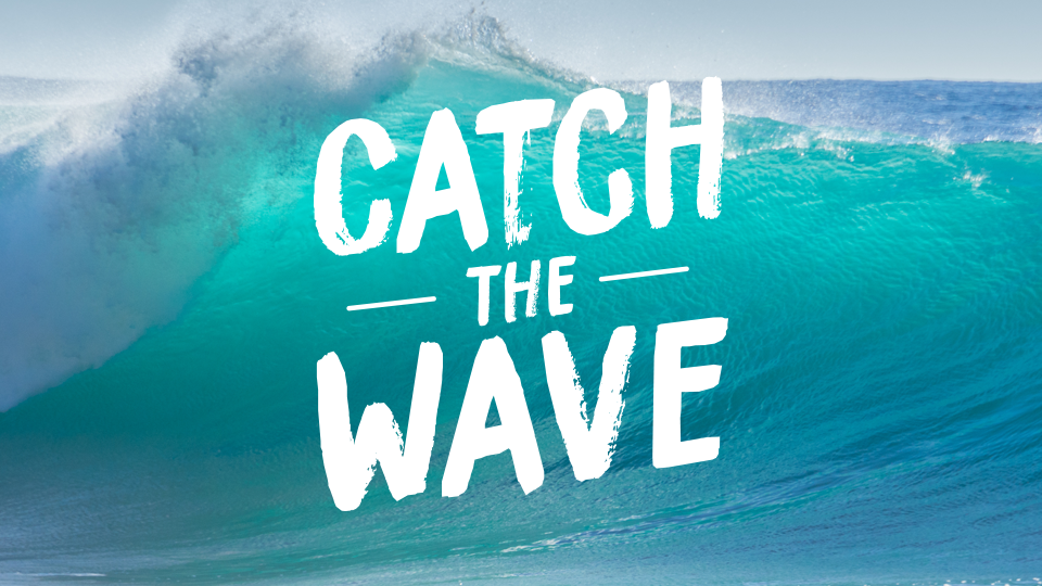 Catch the Wave Access Codes u