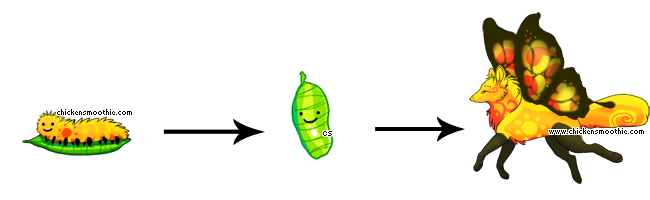 After Several Days, The Caterpillar Will Then Turn Into A Cocoon, Which Then Turns Into A Full Grown Butterfly Wolf After Several More Days. - Caterpillar Into Butterfly, Transparent background PNG HD thumbnail