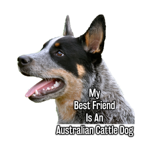 Cattle Dog Png Hdpng.com 313 - Cattle Dog, Transparent background PNG HD thumbnail