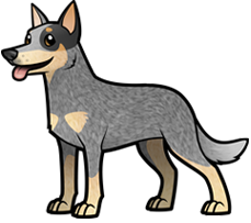 American Staffordshire Terrier  · Logo Australian Cattle Dog - Cattle Dog, Transparent background PNG HD thumbnail