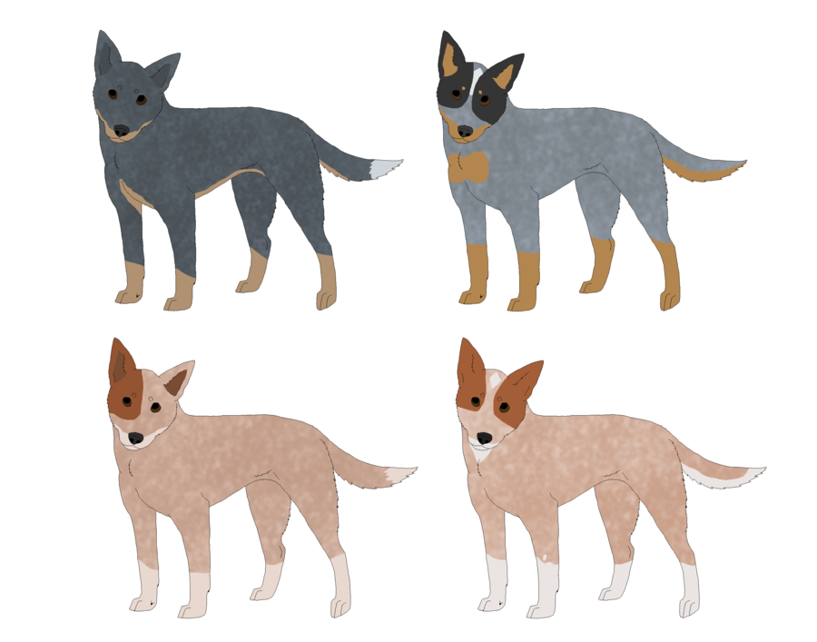 Cattle Dog Adoptables By Nightcur Hdpng.com  - Cattle Dog, Transparent background PNG HD thumbnail