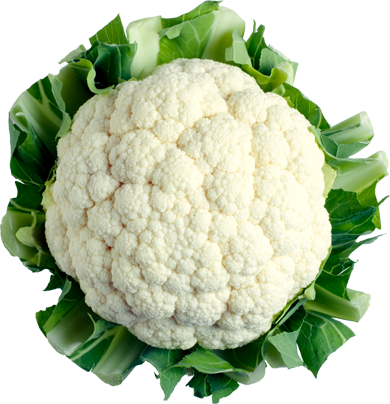 Similar Cabbage PNG Image