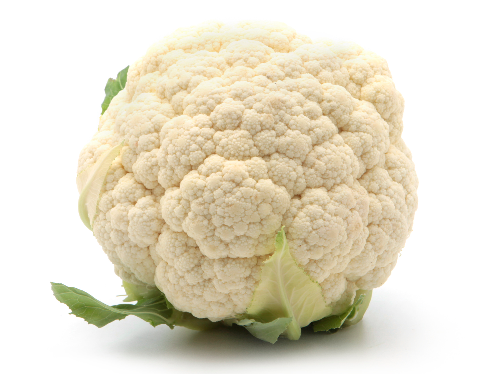 Cauliflower Small