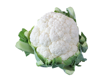 Cauliflower - Cauliflower, Transparent background PNG HD thumbnail