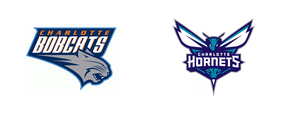 New Name, Logo, And Identity For The Charlotte Hornets - Charlotte Hornets, Transparent background PNG HD thumbnail