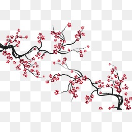 Cherry Blossoms, Cherry Blossoms, Decorative Background, Flowers Png And Vector - Cherry Blossom, Transparent background PNG HD thumbnail