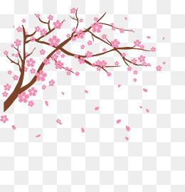 Vector Cherry, Vector, Cherry Blossoms, Flower Png Image And Clipart - Cherry Blossom, Transparent background PNG HD thumbnail