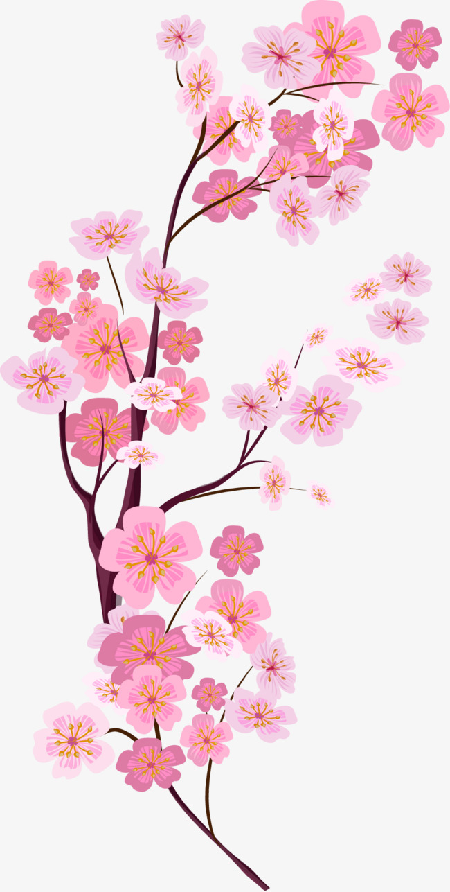 Vector Painted Pink Cherry Blossoms, Vector, Hand Painted, Pink Cherry Blossoms Png And - Cherry Blossom, Transparent background PNG HD thumbnail