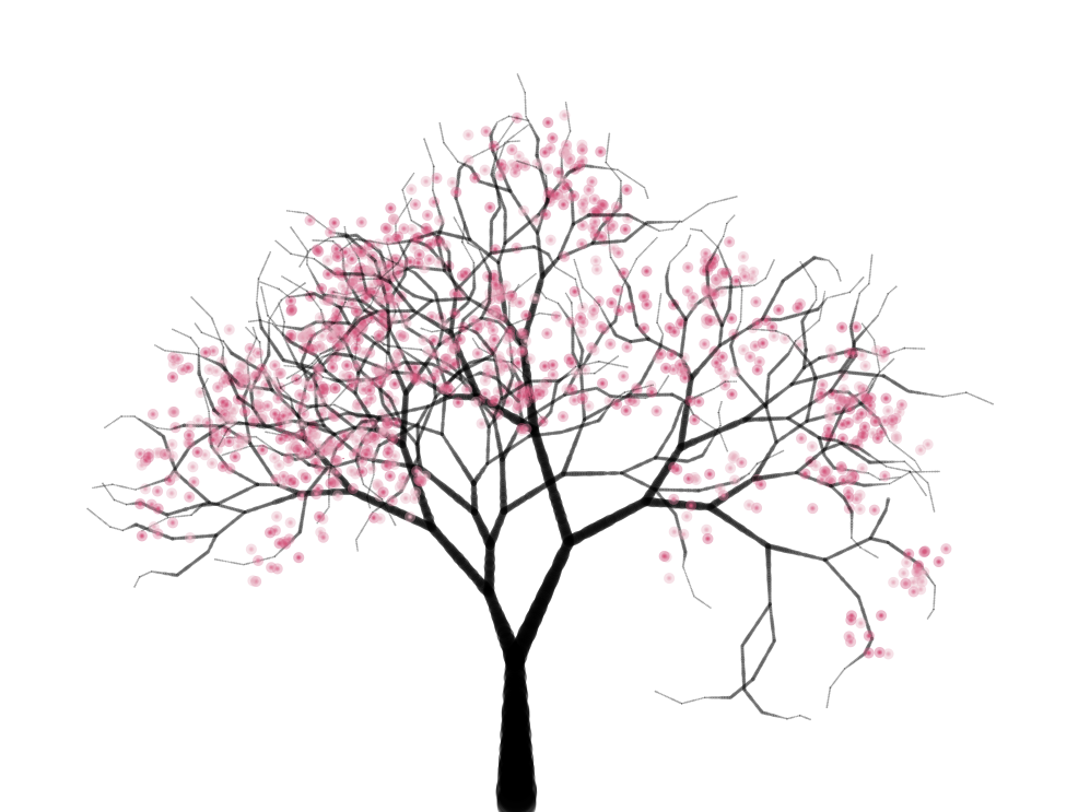Cherry Tree - Cherry Blossom Tree, Transparent background PNG HD thumbnail