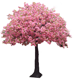 Pink Cherry Blossom Tree - Cherry Blossom Tree, Transparent background PNG HD thumbnail