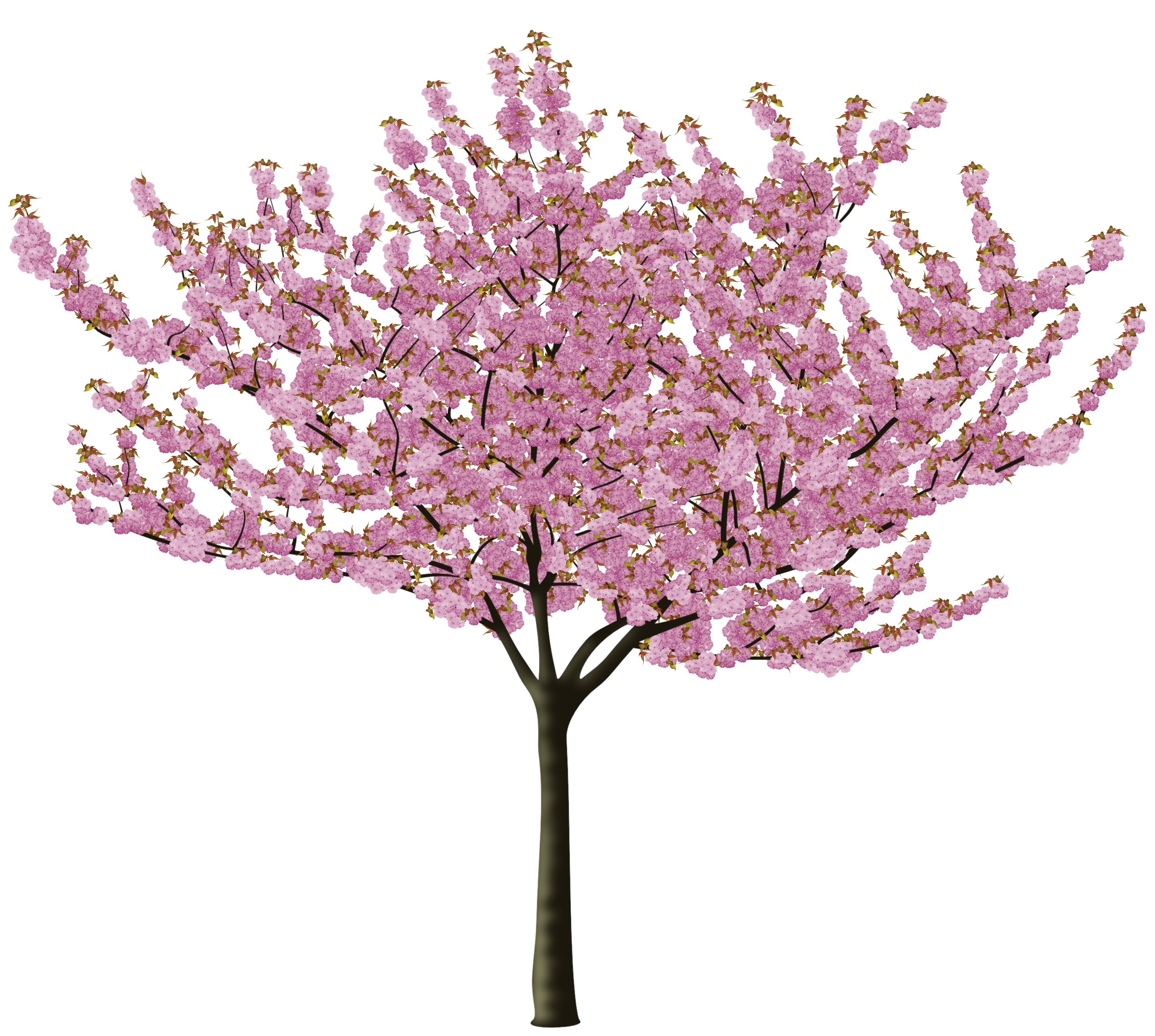 Post 28172 0 77813900 1460903564_Thumb.png - Cherry Blossom Tree, Transparent background PNG HD thumbnail