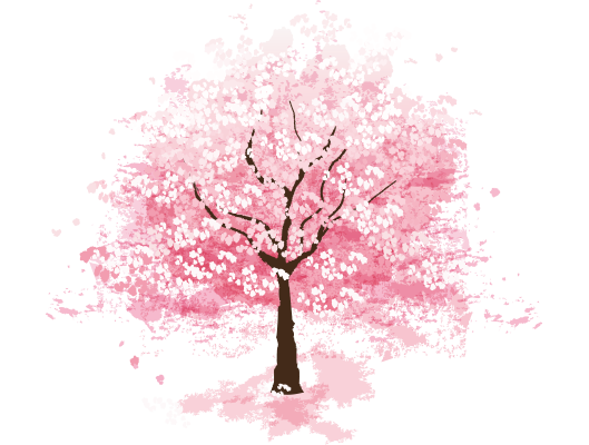 Sakura Tree.png - Cherry Blossom Tree, Transparent background PNG HD thumbnail