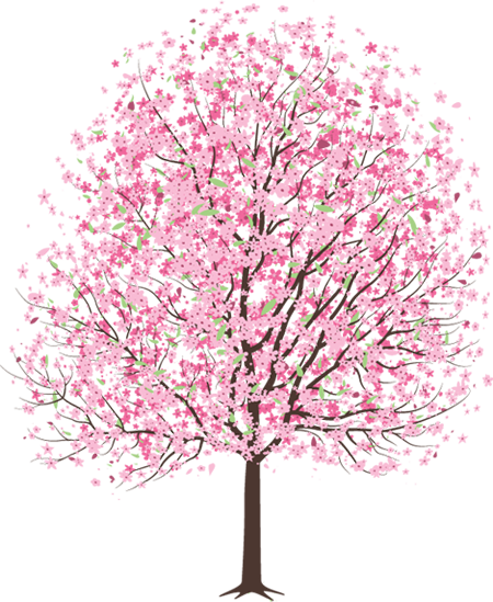 The Cherry Blossom Tree - Cherry Blossom Tree, Transparent background PNG HD thumbnail