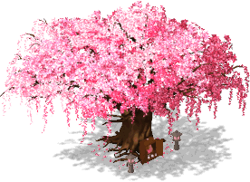 Tree Of Cherry Blossom 3 Se.png - Cherry Blossom Tree, Transparent background PNG HD thumbnail