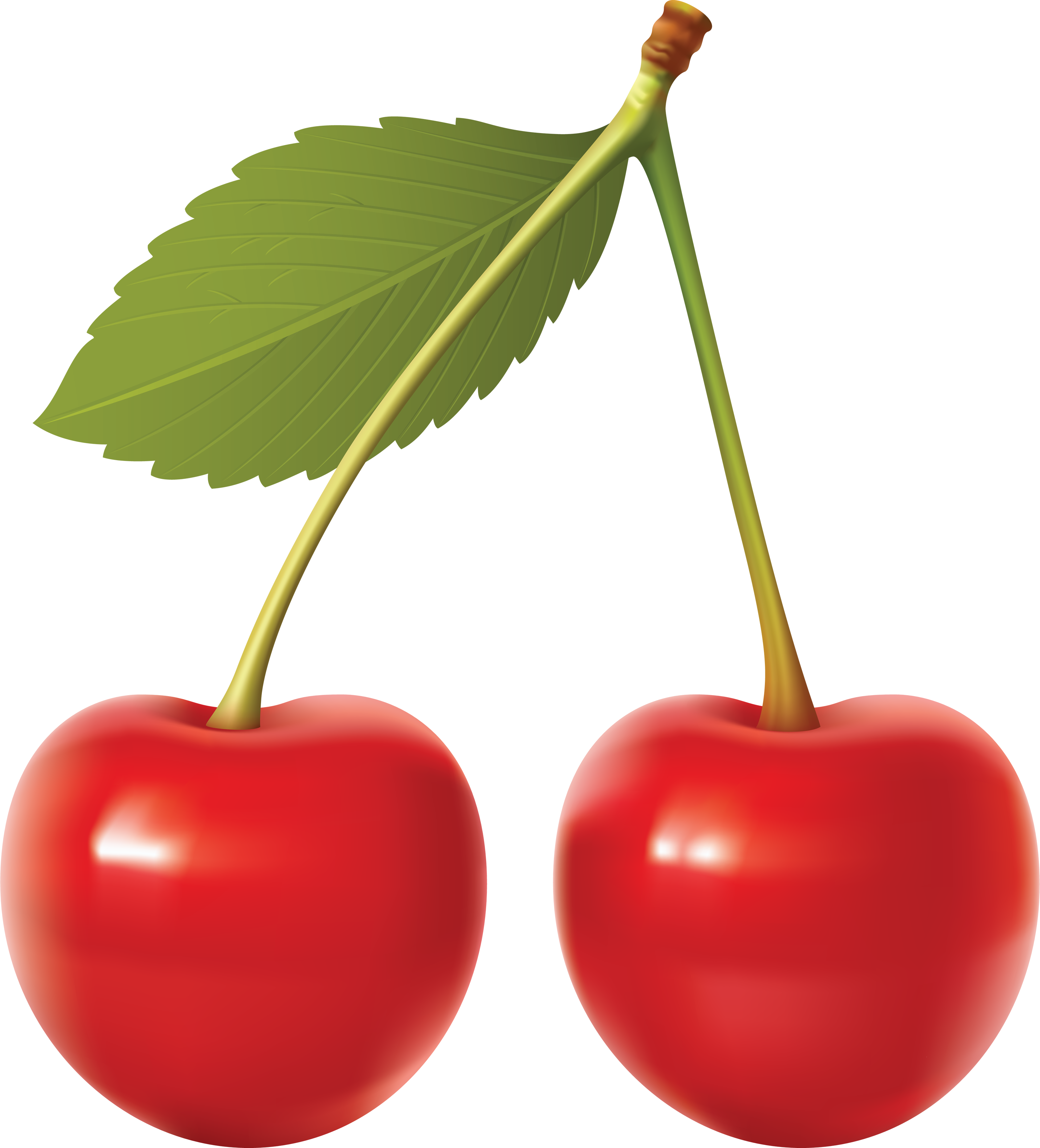 red cherry PNG image, free do