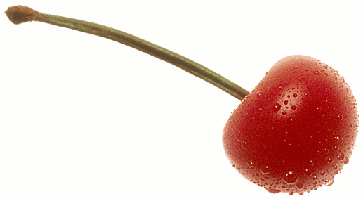 red cherry PNG image, free do