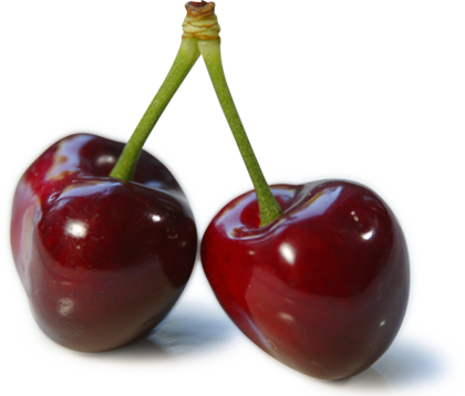 Cherry Fruit PNG HD