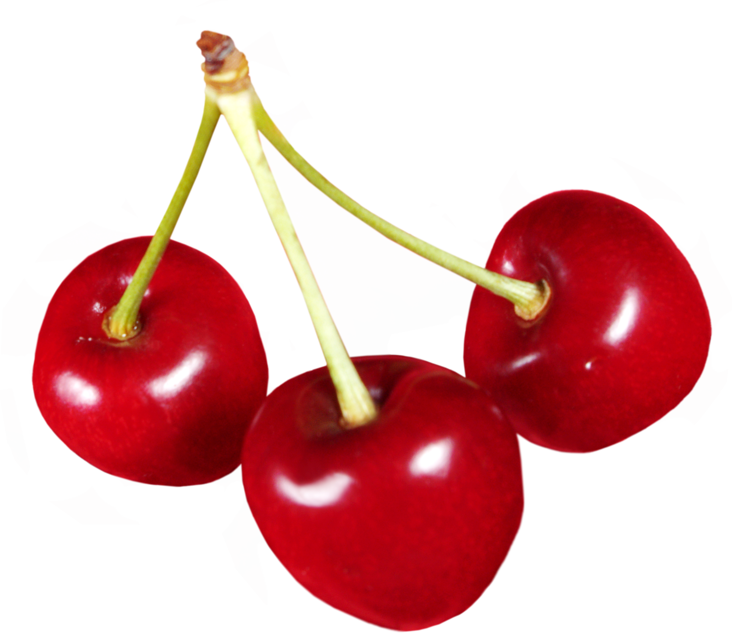 Cherries Png Image - Cherry, Transparent background PNG HD thumbnail