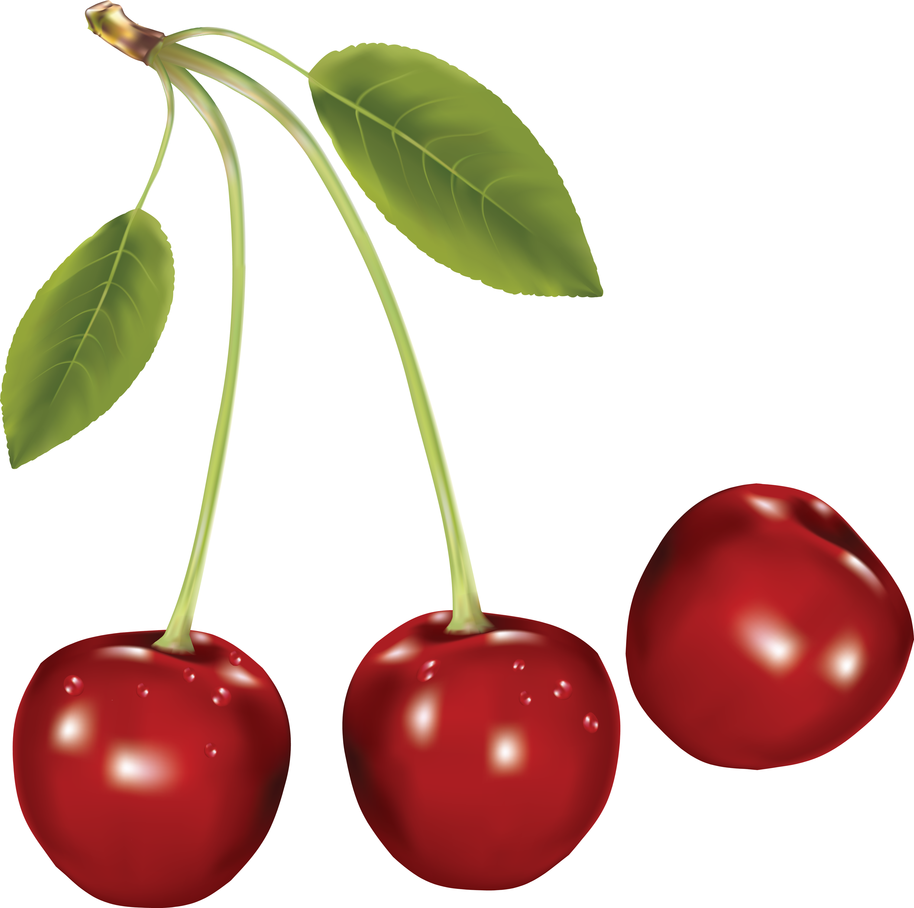 Cherries Png Image - Cherry, Transparent background PNG HD thumbnail