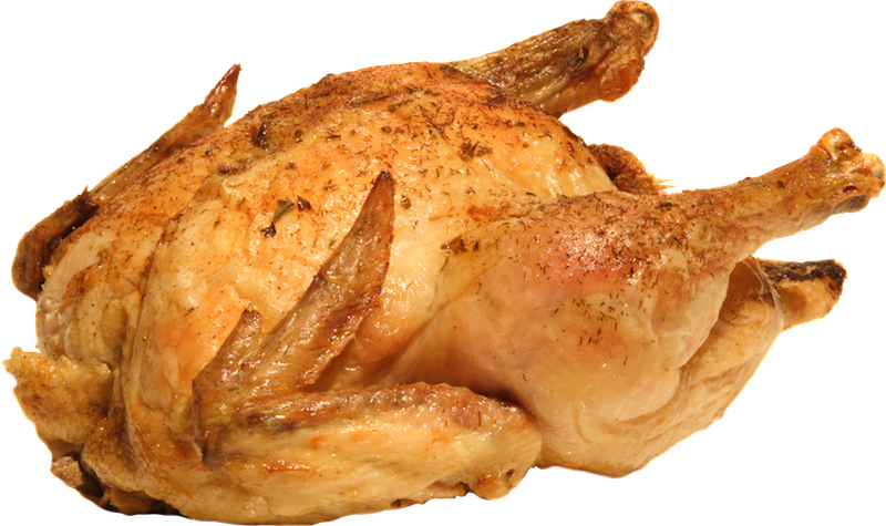 White Chicken Png Image PNG I