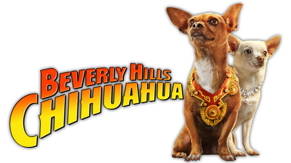 2 - Chihuahua, Transparent background PNG HD thumbnail