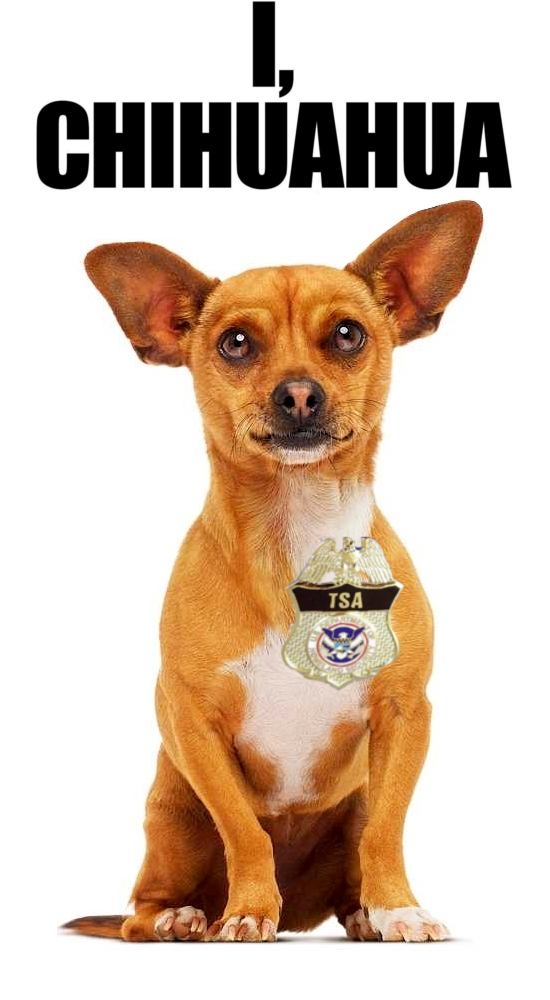 Indeed Hdpng.com  - Chihuahua, Transparent background PNG HD thumbnail
